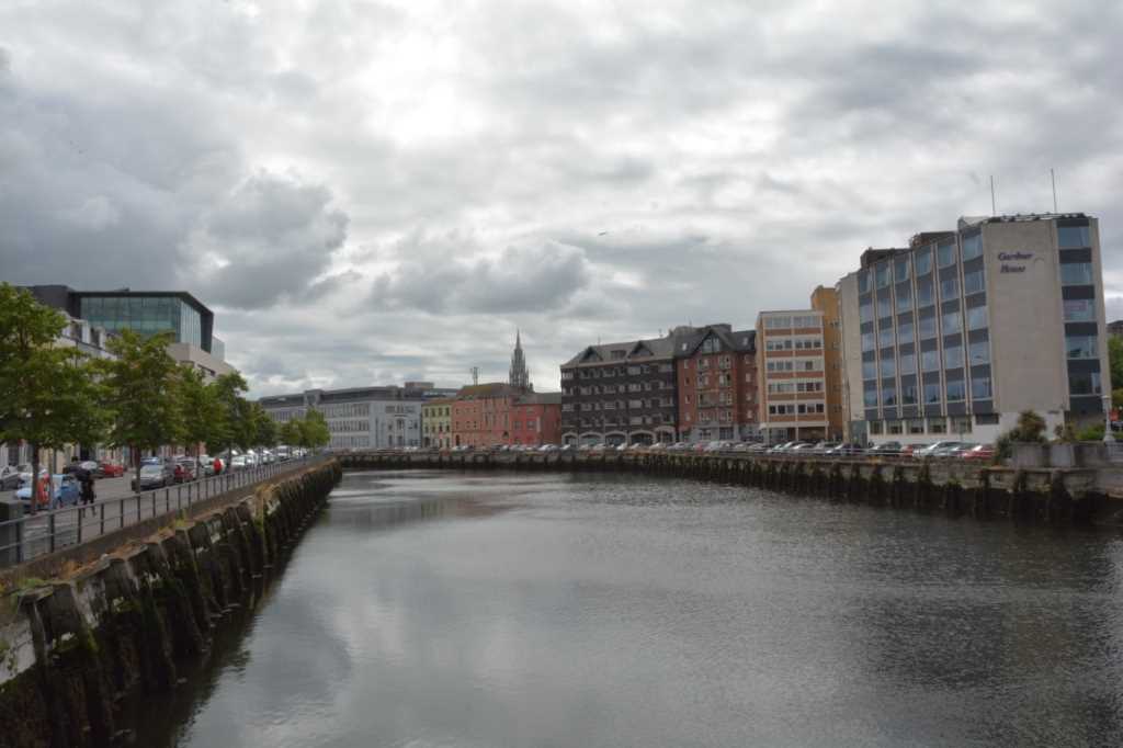DSC_4679Mittel_.JPG